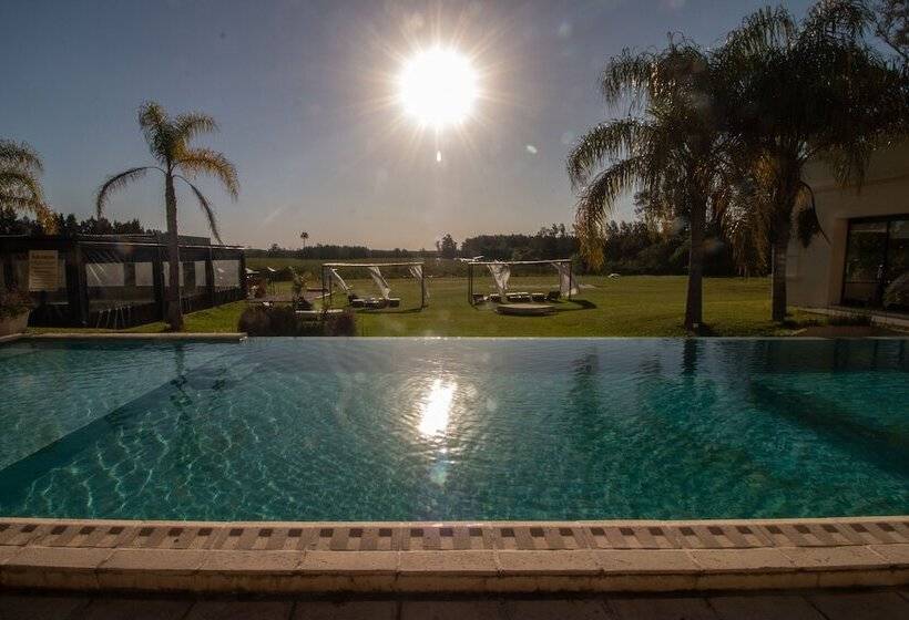 Hotel Hathor Concordia