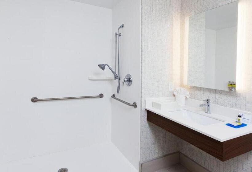 Holiday Inn Express Hotel & Suites Dothan North, An Ihg