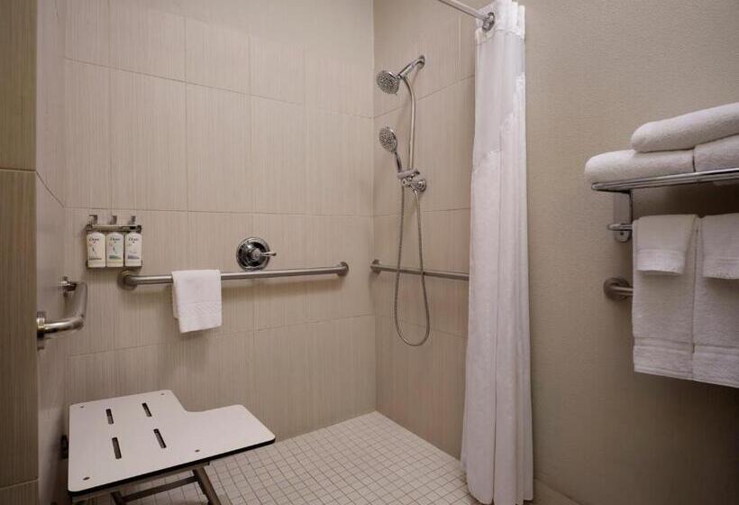 Holiday Inn Express Hotel And Suites Dfw Grapevine, An Ihg