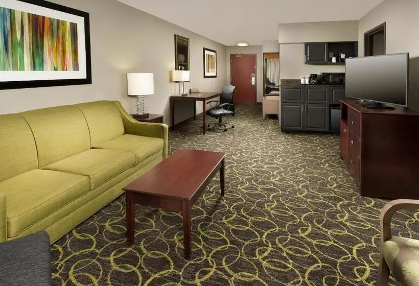 Holiday Inn Express Hotel And Suites Dfw Grapevine, An Ihg
