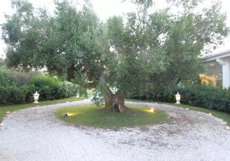 酒店 Masseria Magli Resort