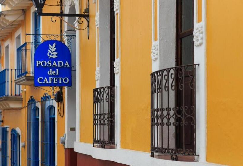 호텔 Posada Del Cafeto