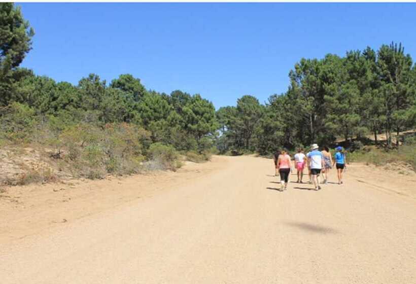 Tio Tom All Inclusive