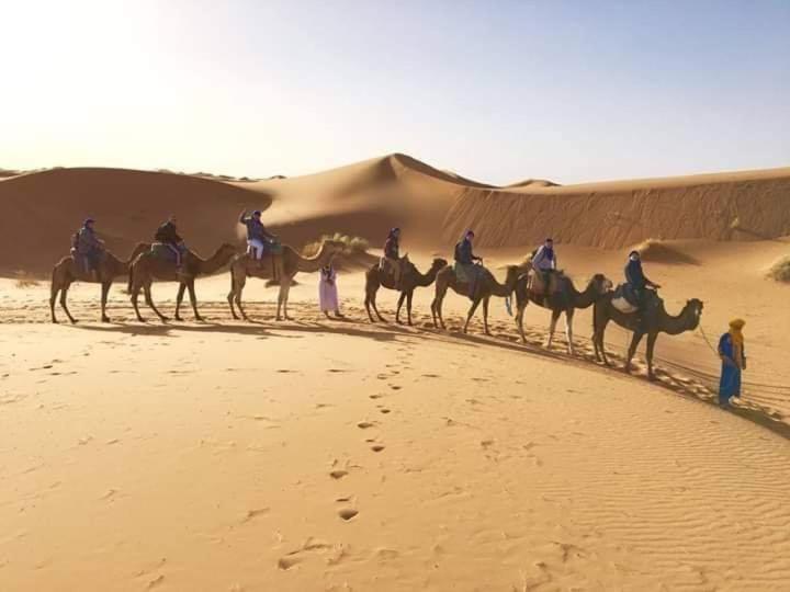 ベッドアンドブレックファースト Hammadi Desert Camp