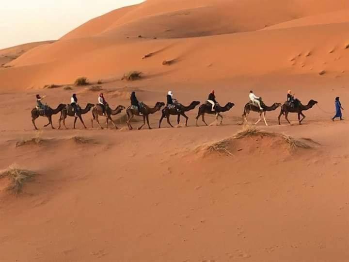 ベッドアンドブレックファースト Hammadi Desert Camp