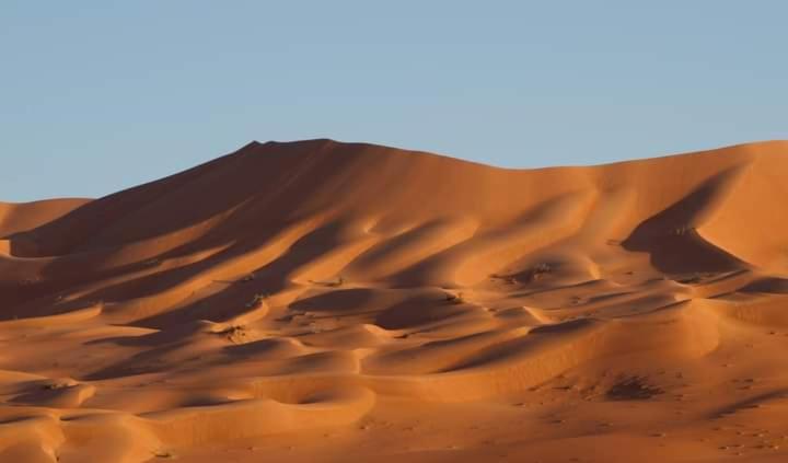 ベッドアンドブレックファースト Hammadi Desert Camp