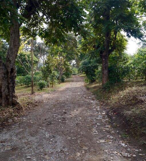 فندق Arusha Villa Karamu Coffee Estate