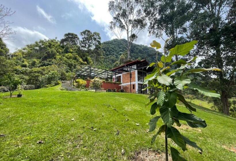 هتل Gulupa Ecolodge