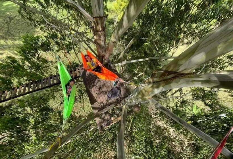 Hotel Gulupa Ecolodge