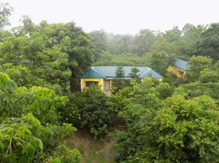 Jaldapara Inn Resort