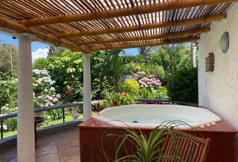 פנסיון Bollinger Guest House