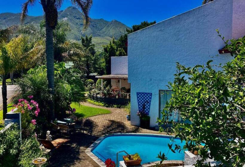 פנסיון Bollinger Guest House