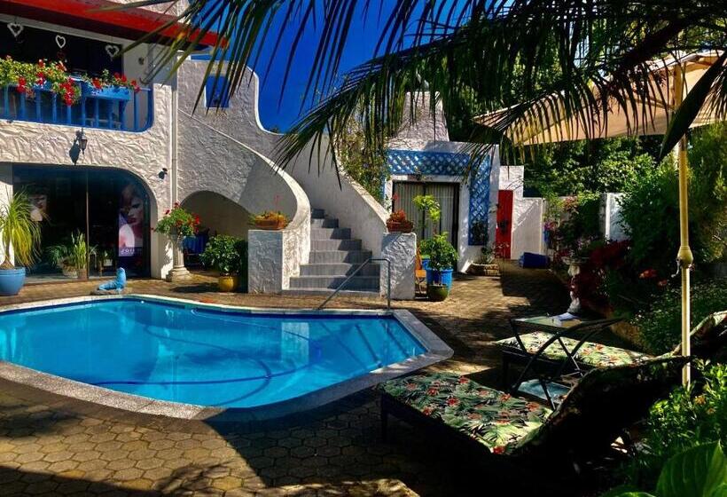 פנסיון Bollinger Guest House