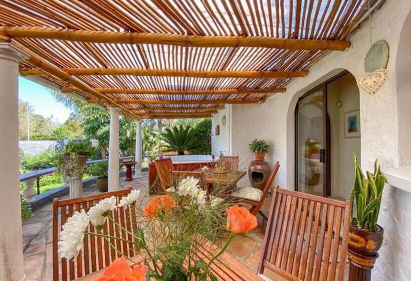 פנסיון Bollinger Guest House