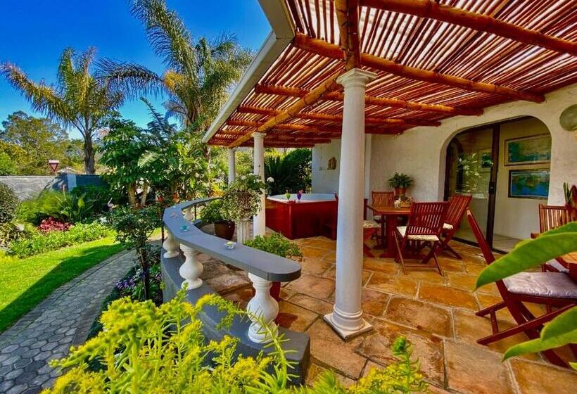 פנסיון Bollinger Guest House