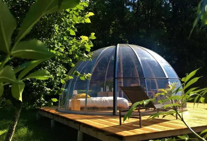 Aamiaismajoitus (B&B) Maison D Hôtes Casa Sana