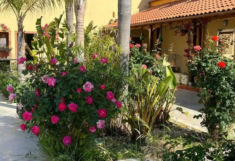 Oasi B&b Hotel Restaurant