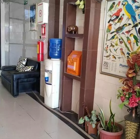 ホテル Hostal Nuevo Amanecer