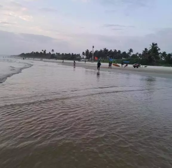 ペンション C Pearl