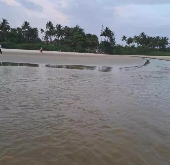 ペンション C Pearl