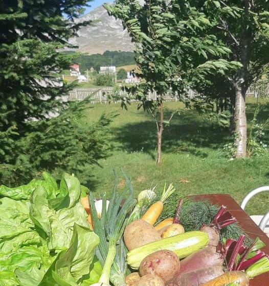 پانسیون Kovcica Rooms