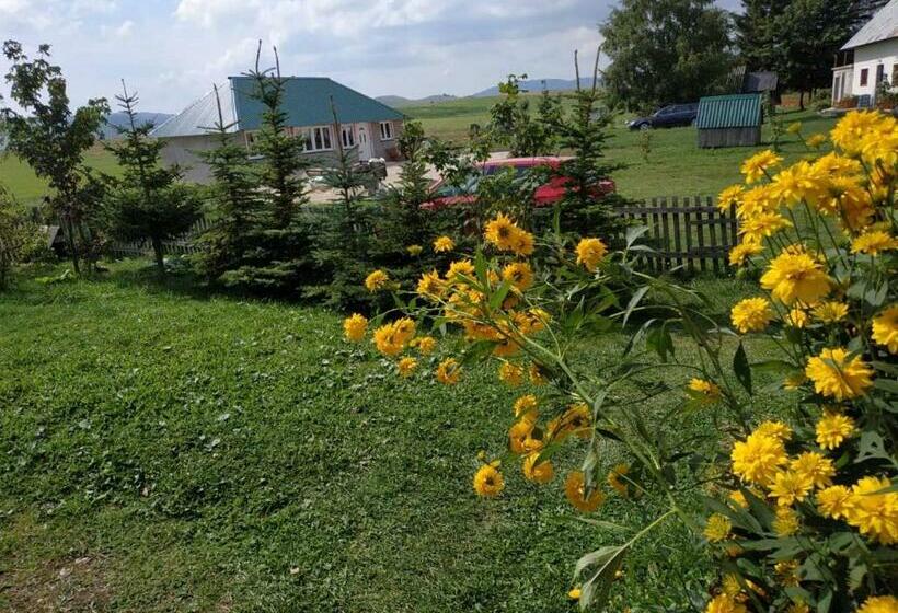 پانسیون Kovcica Rooms