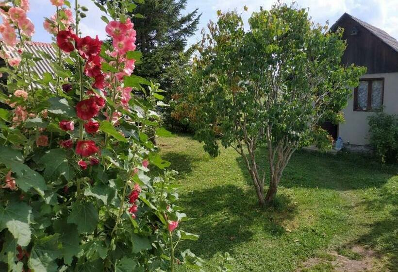 پانسیون Kovcica Rooms