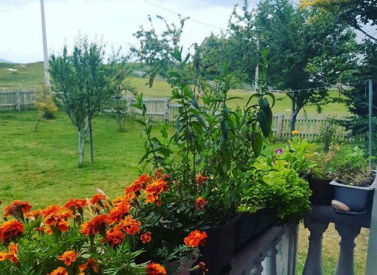 پانسیون Kovcica Rooms