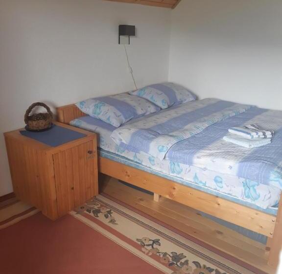 پانسیون Kovcica Rooms