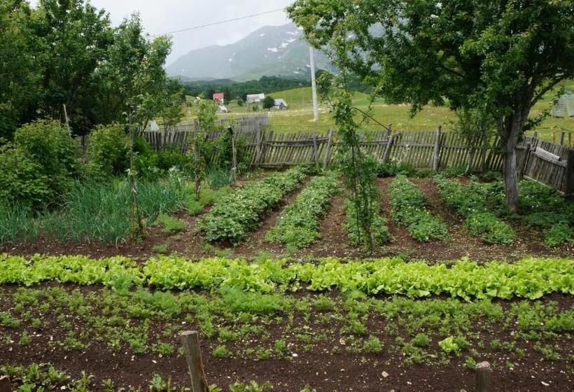 پانسیون Kovcica Rooms