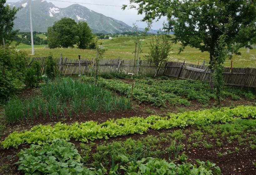 پانسیون Kovcica Rooms