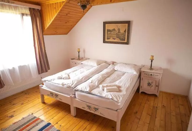 Pensiunea Sachsenhof