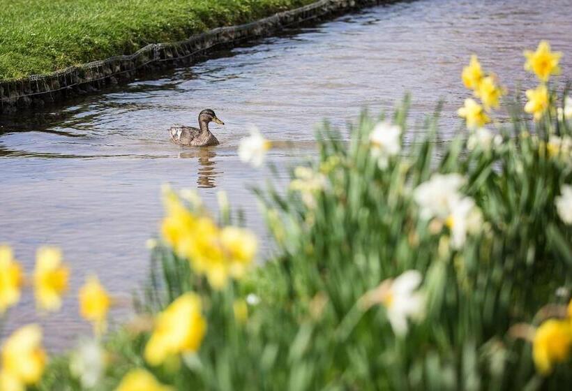 Общежитие The Ostrich Inn