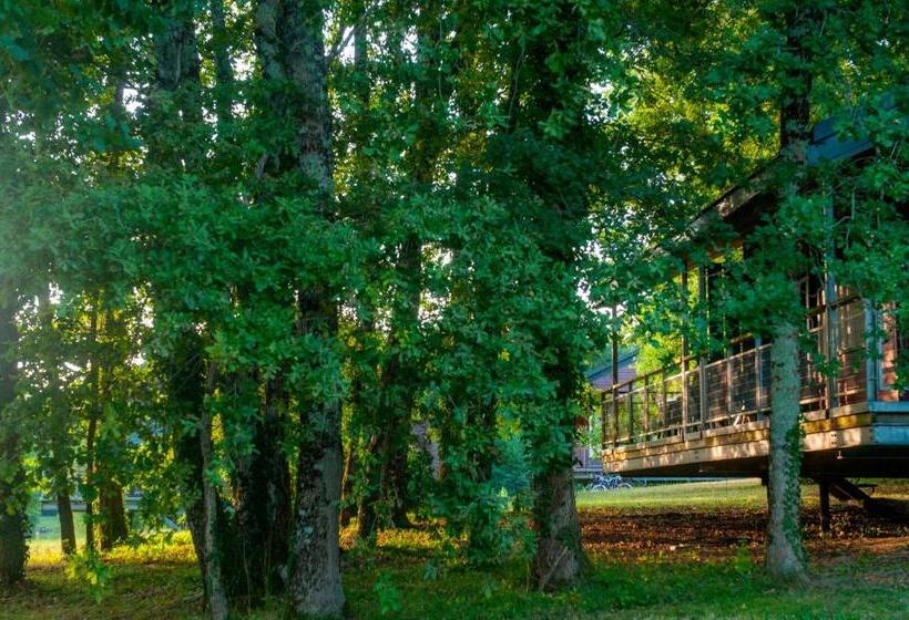 Goélia Le Domaine Des Nouailles