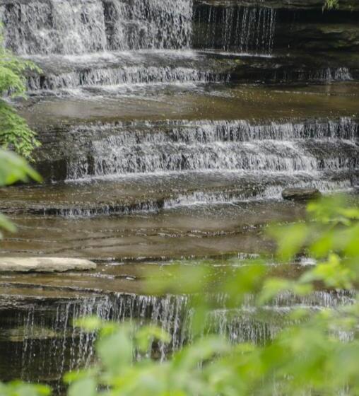 בית מלון כפרי Clifty Inn