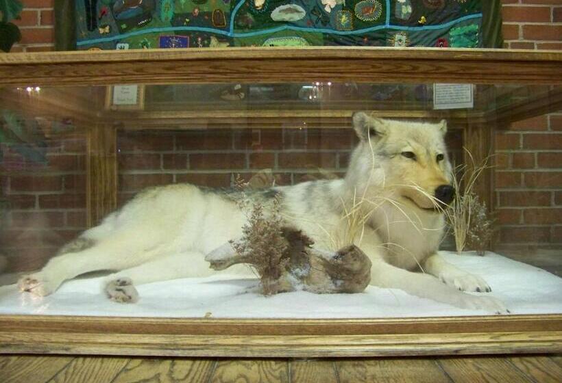 בית מלון כפרי Clifty Inn