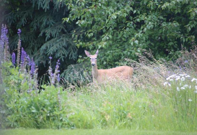 Silver Star Bed And Breakfast