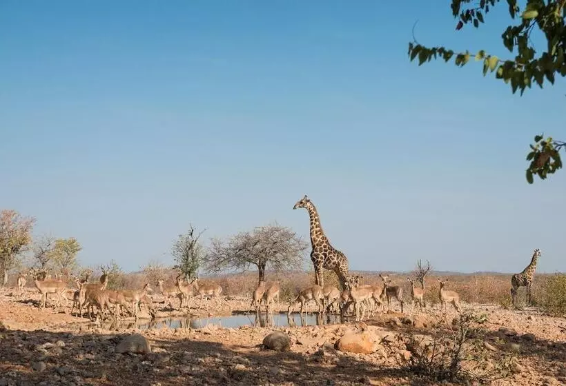 هتل Ongava Lodge