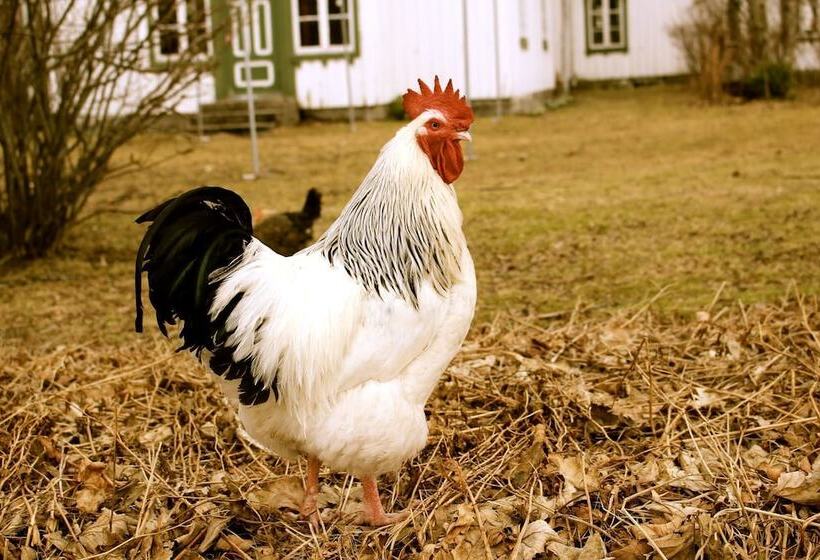 Pansiyon Skagen Gaard