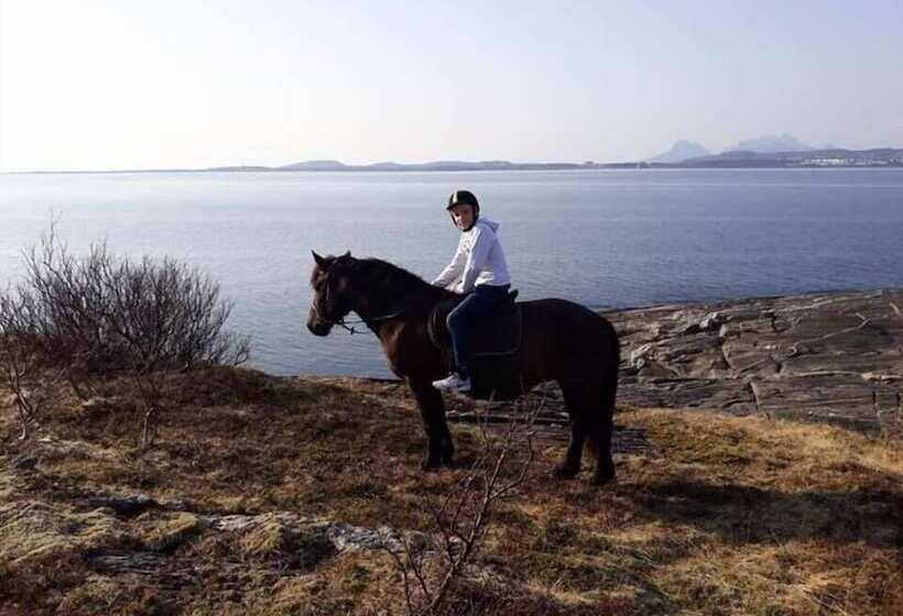 Pansiyon Skagen Gaard