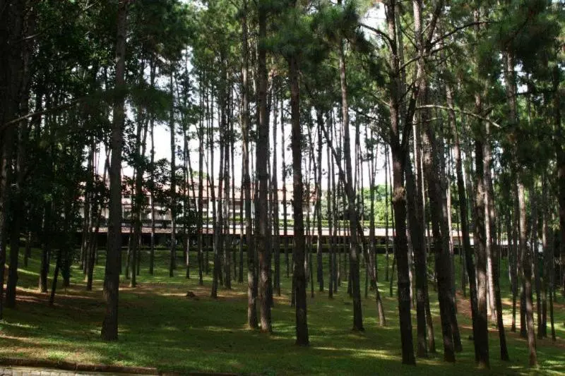 Alpino Hotel São Roque