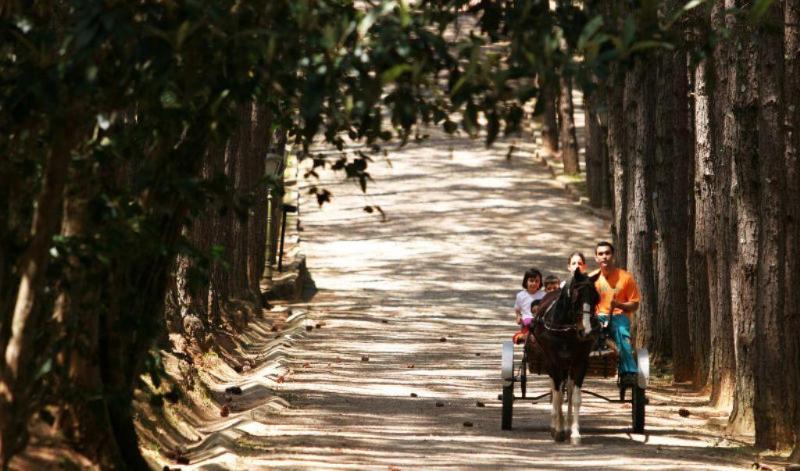 Alpino Hotel São Roque