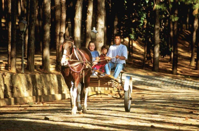 Alpino Hotel São Roque