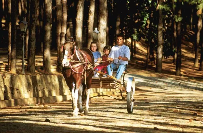 Alpino Hotel São Roque