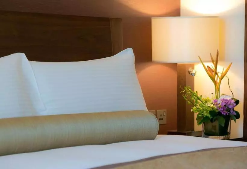 Grand Millennium Al Wahda Hotel And Executive Apartments Abu Dhabi