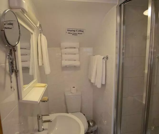 Отель Britannia Inn