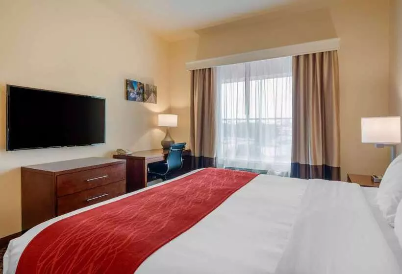 호텔 Comfort Inn & Suites Airport