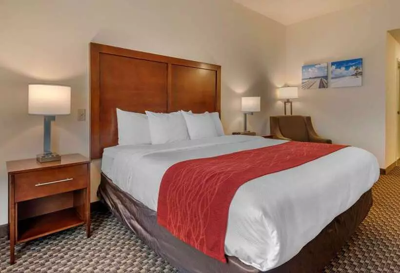 호텔 Comfort Inn & Suites Airport