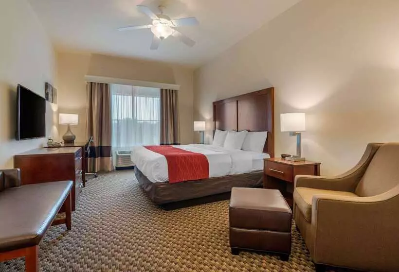 호텔 Comfort Inn & Suites Airport