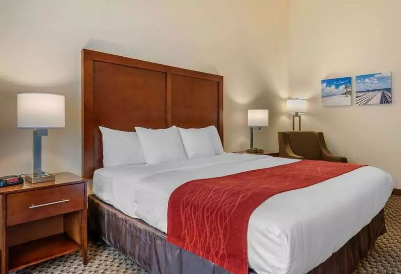 호텔 Comfort Inn & Suites Airport